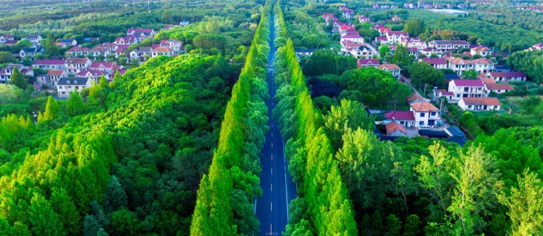 图片21.jpg 图片21.jpg