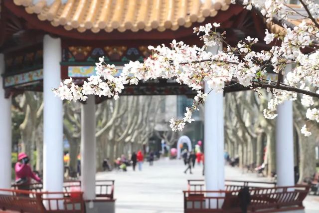 0324_143626_821.jpg 微信图片_2025-03-24_121505_262.jpg