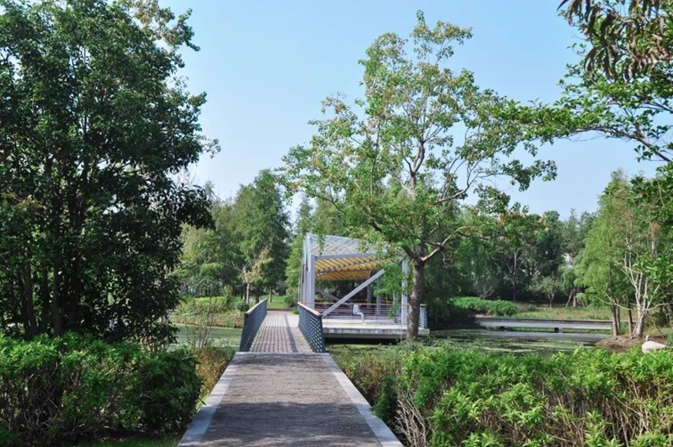 寒风乍起,秋意正浓,你想要的绝色秋光就藏在青浦! 寒风乍起,秋意正浓,你想要的绝色秋光就藏在青浦!