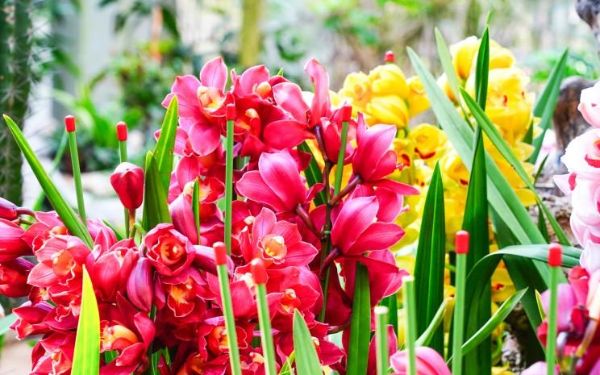 DSC09901.jpg DSC09901.jpg