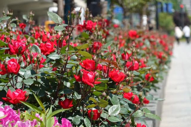 0307_144743_982.jpg 微信图片_2025-03-07_103713_463.jpg