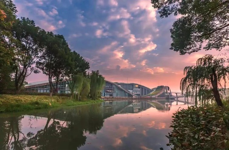 秋水伊人,来青浦,乘坐公共交通邂逅初秋水岸的一缕风凉! 秋水伊人,来青浦,乘坐公共交通邂逅初秋水岸的一缕风凉!