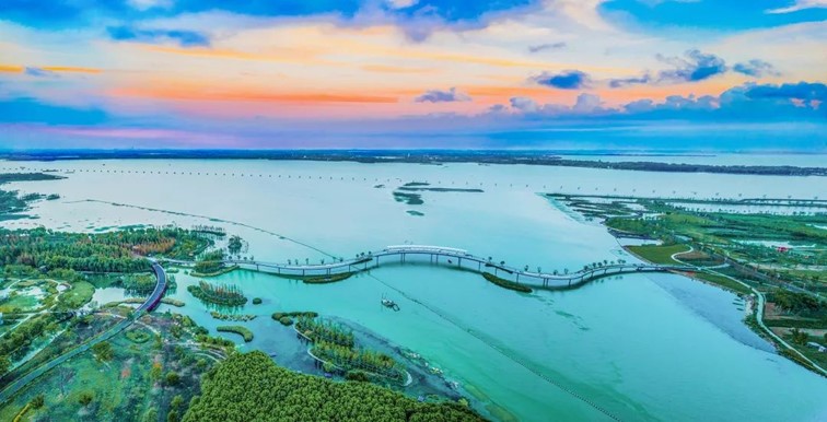 秋水伊人,来青浦,乘坐公共交通邂逅初秋水岸的一缕风凉! 秋水伊人,来青浦,乘坐公共交通邂逅初秋水岸的一缕风凉!