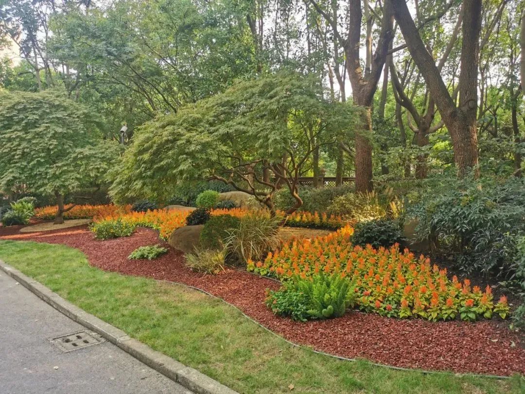 长宁这些公园获奖啦~9.jpg 长宁这些公园获奖啦~9.jpg