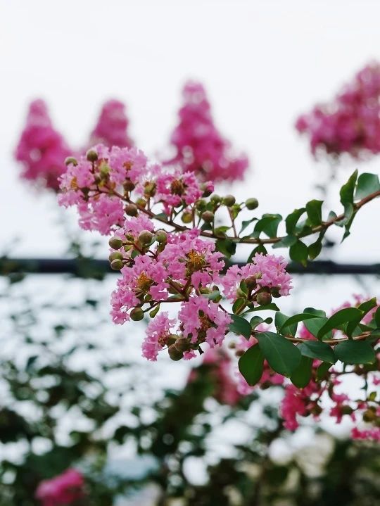 0830_141238_197.jpg 微信图片_20240830095902.jpg