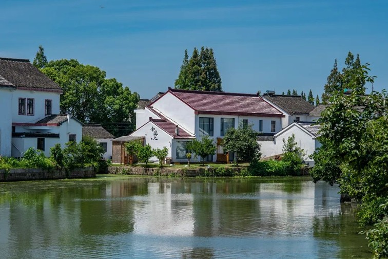 江南春景水一半,12处小流域绘青浦生态美域 江南春景水一半,12处小流域绘青浦生态美域