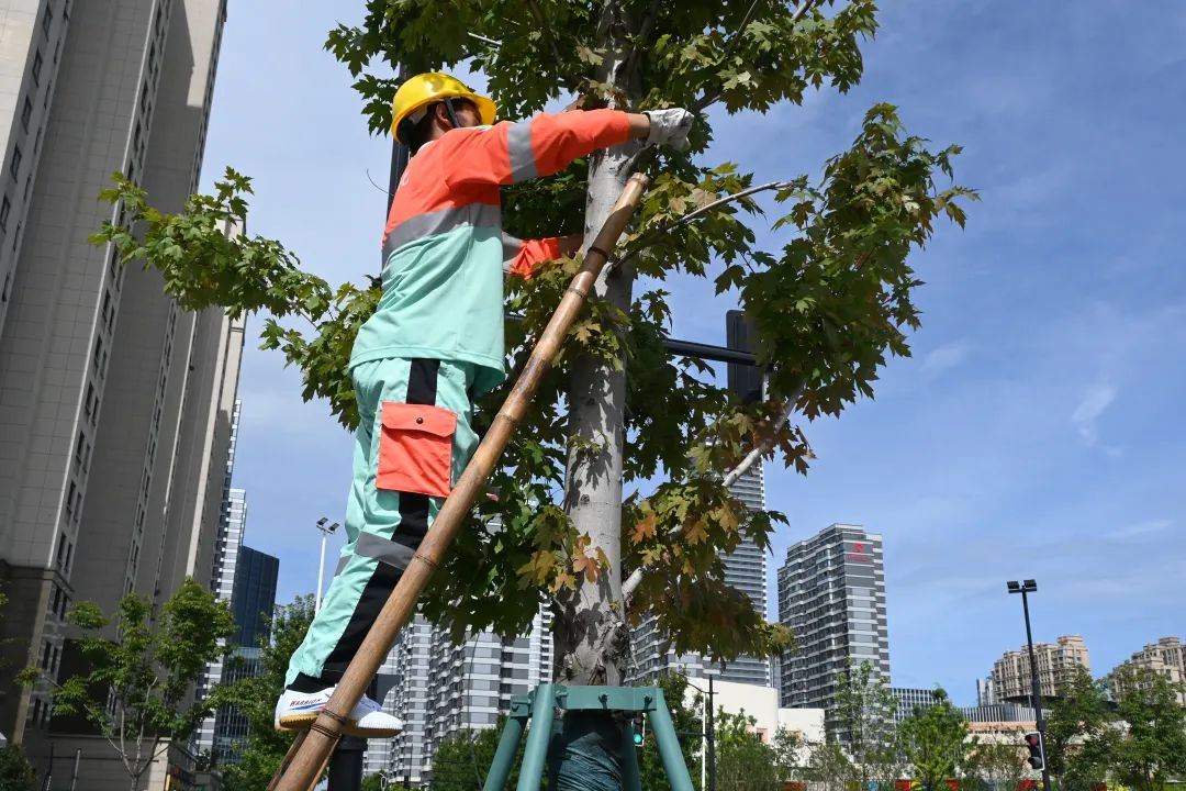 0726_083121_528.jpg 0726_083121_528.jpg