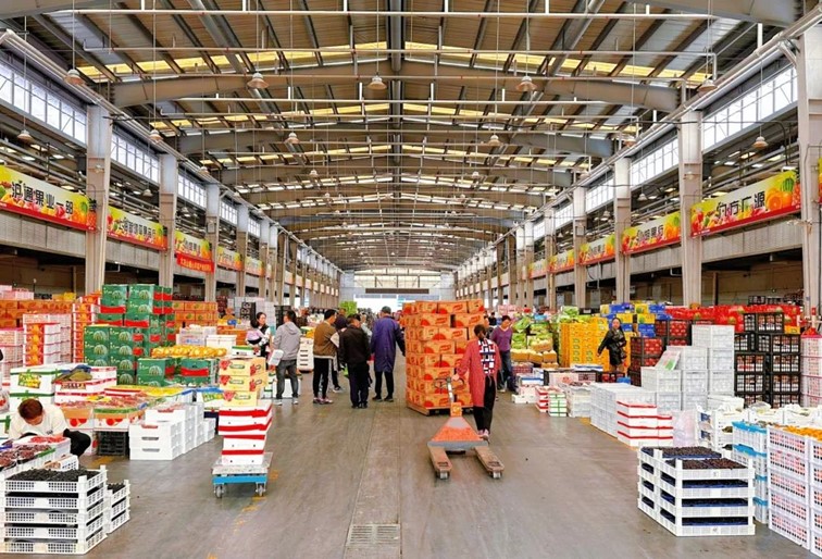 跟着半马游青浦|收藏!带你玩转线路周边吃喝玩乐全攻略! 跟着半马游青浦|收藏!带你玩转线路周边吃喝玩乐全攻略!