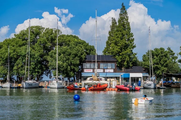 跟着半马游青浦|收藏!带你玩转线路周边吃喝玩乐全攻略! 跟着半马游青浦|收藏!带你玩转线路周边吃喝玩乐全攻略!