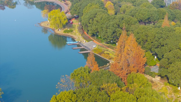 冬日“沪”水游,青浦新城:冬境绮梦,水韵流长 冬日“沪”水游,青浦新城:冬境绮梦,水韵流长