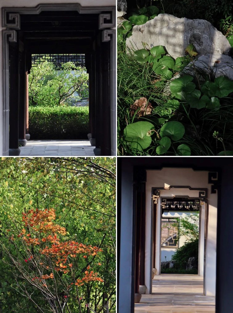 寒风乍起,秋意正浓,你想要的绝色秋光就藏在青浦! 寒风乍起,秋意正浓,你想要的绝色秋光就藏在青浦!