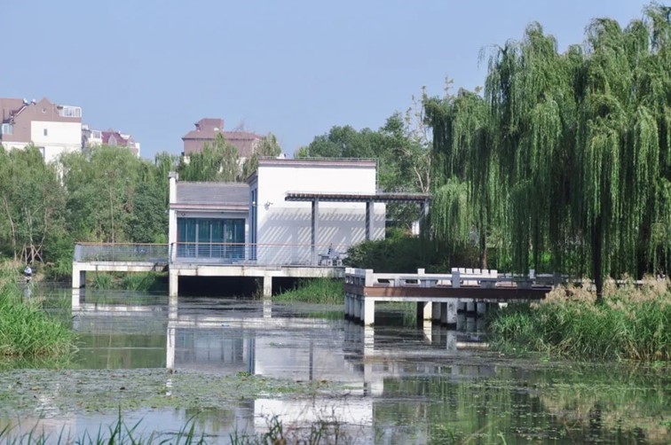 寒风乍起,秋意正浓,你想要的绝色秋光就藏在青浦! 寒风乍起,秋意正浓,你想要的绝色秋光就藏在青浦!