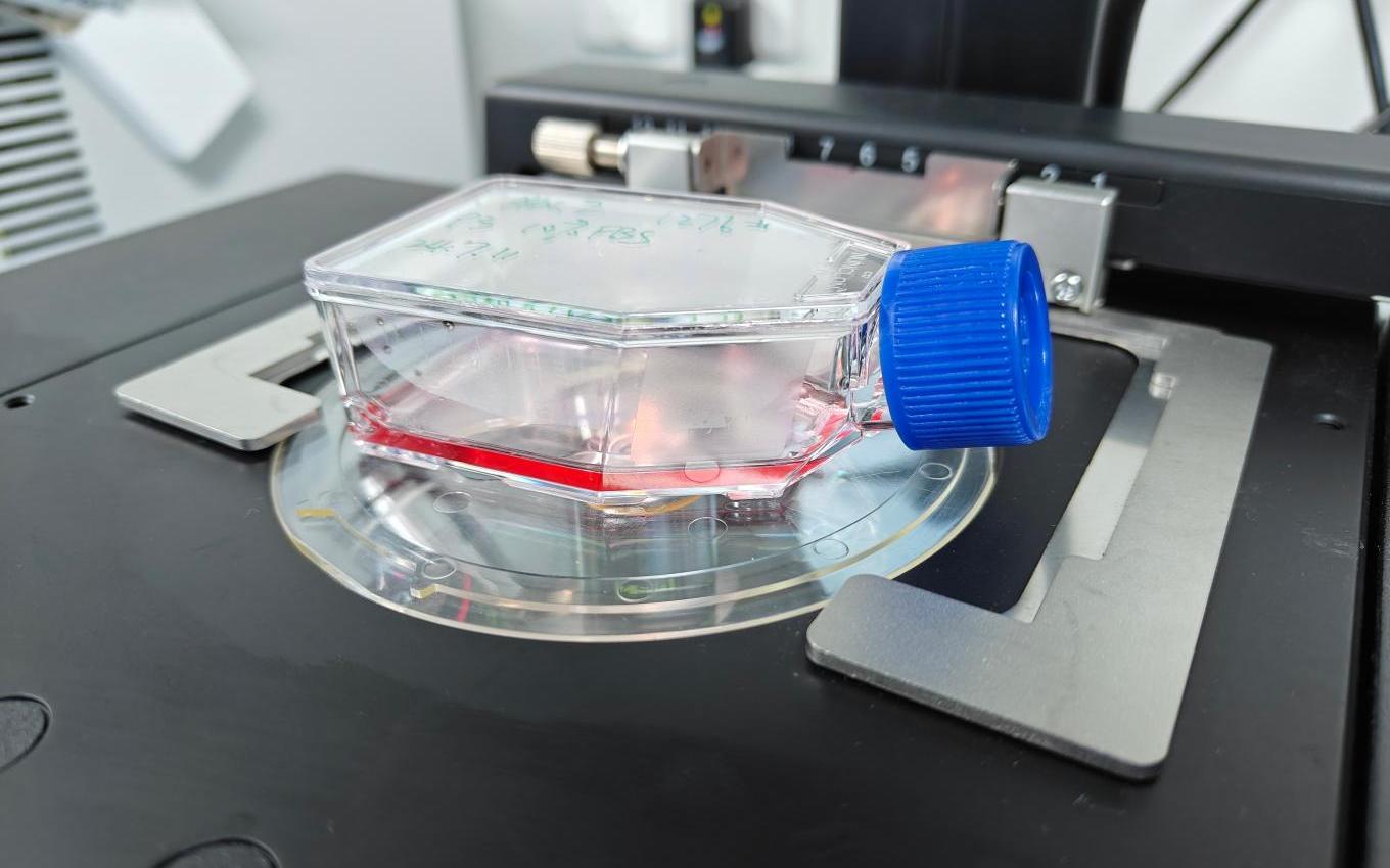 2016248525.jpg 2016248525.jpg