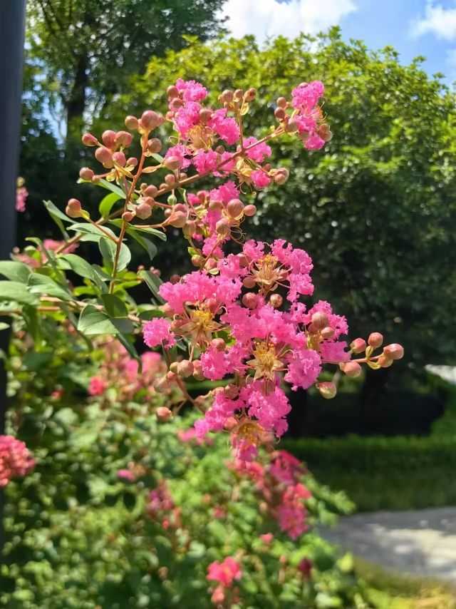 0830_141213_563.jpg 微信图片_20240830095848.jpg