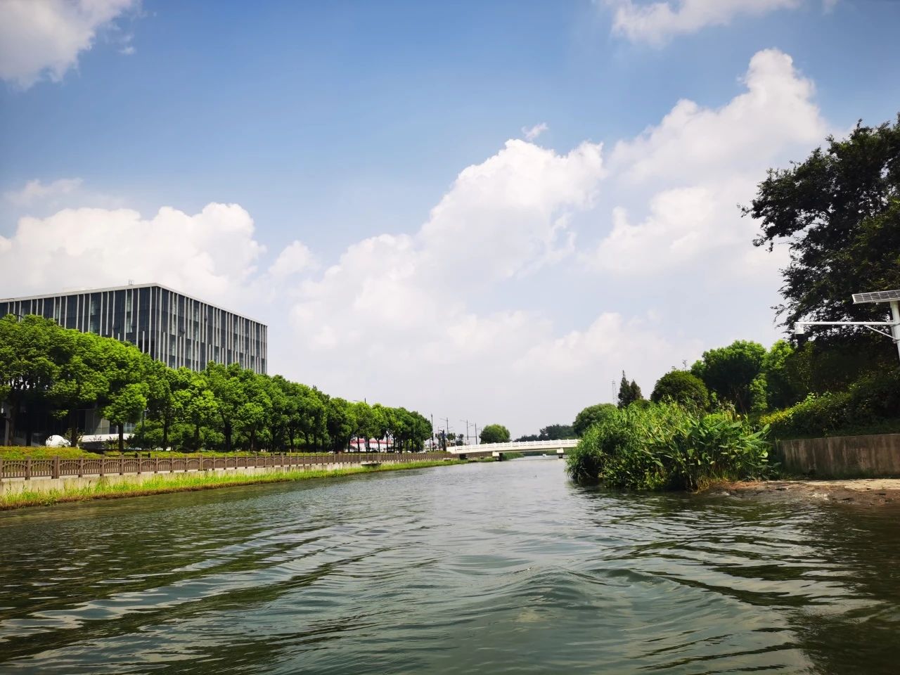 水清、河畅、岸绿……长宁解锁河道变美的“密码”4.jpg 水清、河畅、岸绿……长宁解锁河道变美的“密码”4.jpg