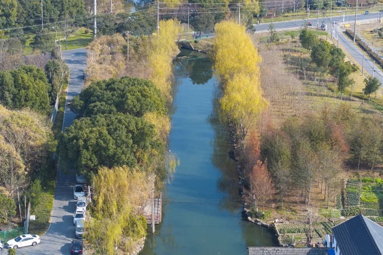 江南春景水一半,12处小流域绘青浦生态美域 江南春景水一半,12处小流域绘青浦生态美域