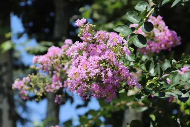 0830_141208_615.jpg 微信图片_20240830095845.jpg