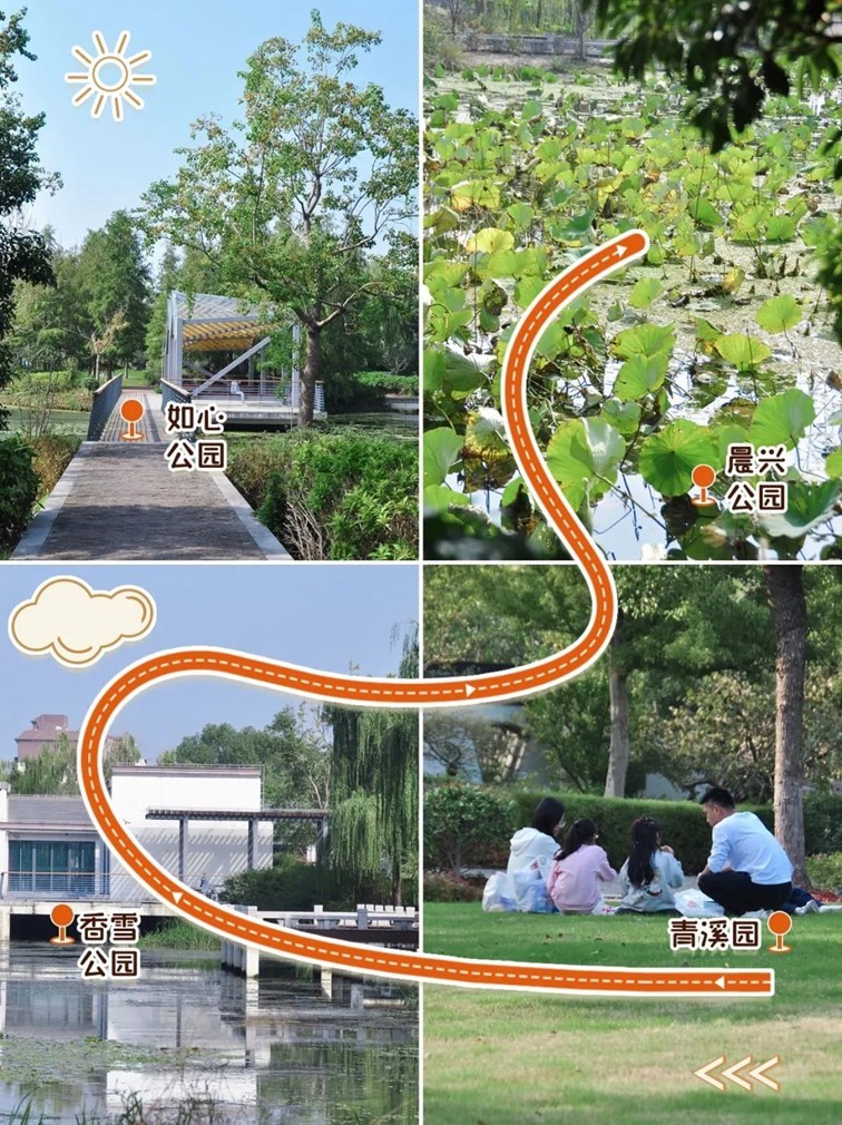 寒风乍起,秋意正浓,你想要的绝色秋光就藏在青浦! 寒风乍起,秋意正浓,你想要的绝色秋光就藏在青浦!