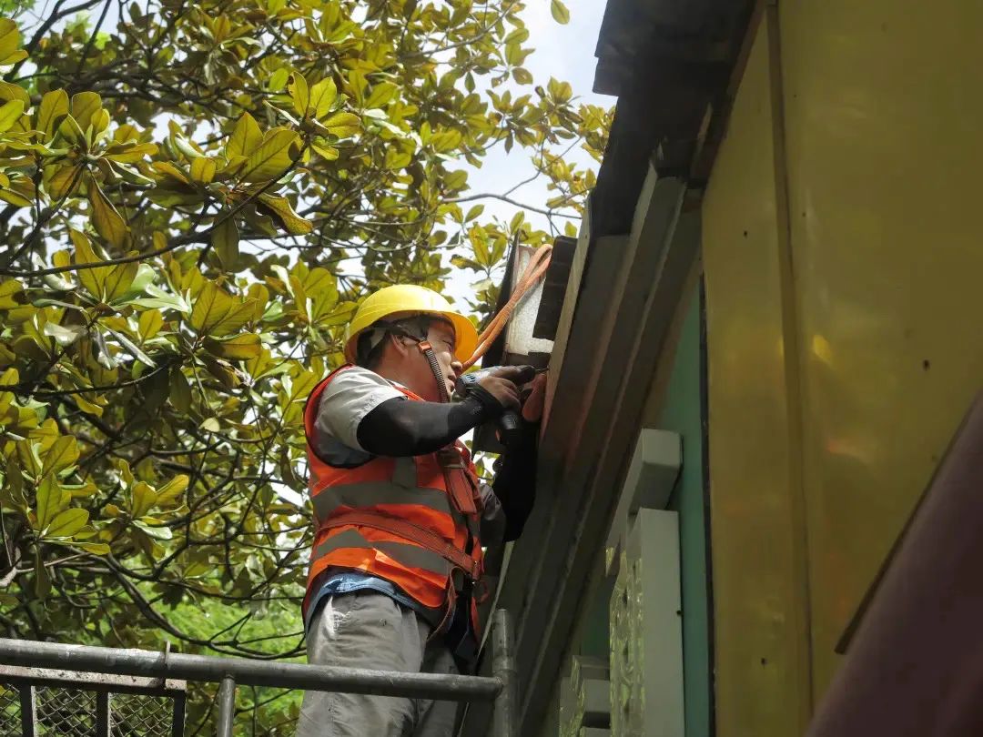 0726_083159_800.jpg 0726_083159_800.jpg