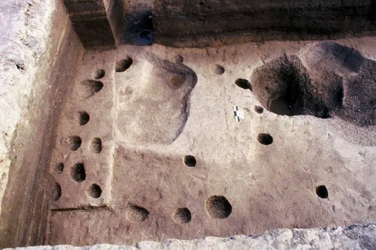 随着镜头中的涟漪,在水韵流转中感受青浦水美乡村 随着镜头中的涟漪,在水韵流转中感受青浦水美乡村