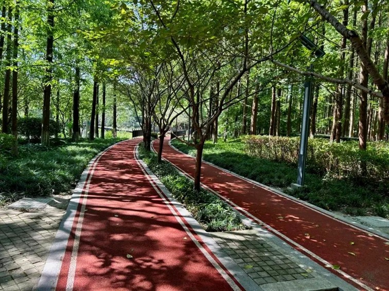 跟着地图去打卡,全民健身的活力舞台:青浦区体育中心 跟着地图去打卡,全民健身的活力舞台:青浦区体育中心