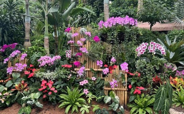 微信图片_20240927170818.jpg 微信图片_20240927170818.jpg