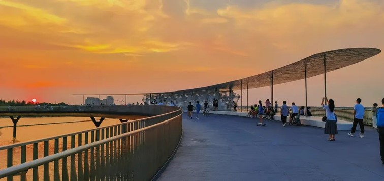 秋水伊人,来青浦,乘坐公共交通邂逅初秋水岸的一缕风凉! 秋水伊人,来青浦,乘坐公共交通邂逅初秋水岸的一缕风凉!