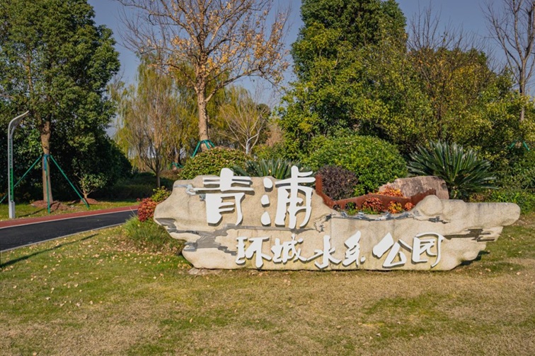 冬日“沪”水游,青浦新城:冬境绮梦,水韵流长 冬日“沪”水游,青浦新城:冬境绮梦,水韵流长