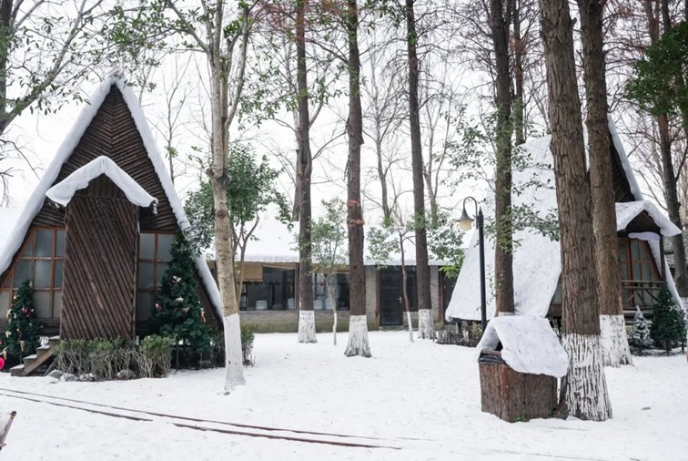 过大年·来青浦丨“蛇”我其谁~青浦近50场新春活动等你“过·来”玩! 过大年·来青浦丨“蛇”我其谁~青浦近50场新春活动等你“过·来”玩!