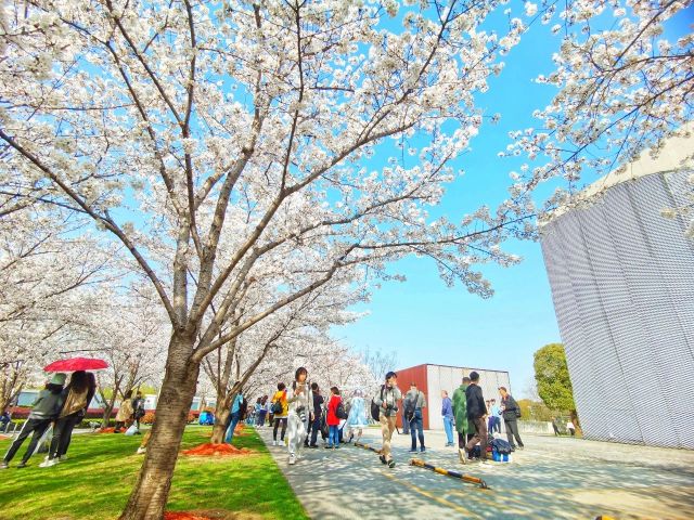 0317_141622_167.jpg 微信图片_2025-03-17_141543_393.jpg