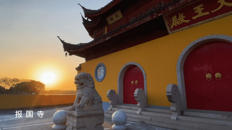 银杏落金,青浦迎来了年度“最闪亮”时刻! 银杏落金,青浦迎来了年度“最闪亮”时刻!