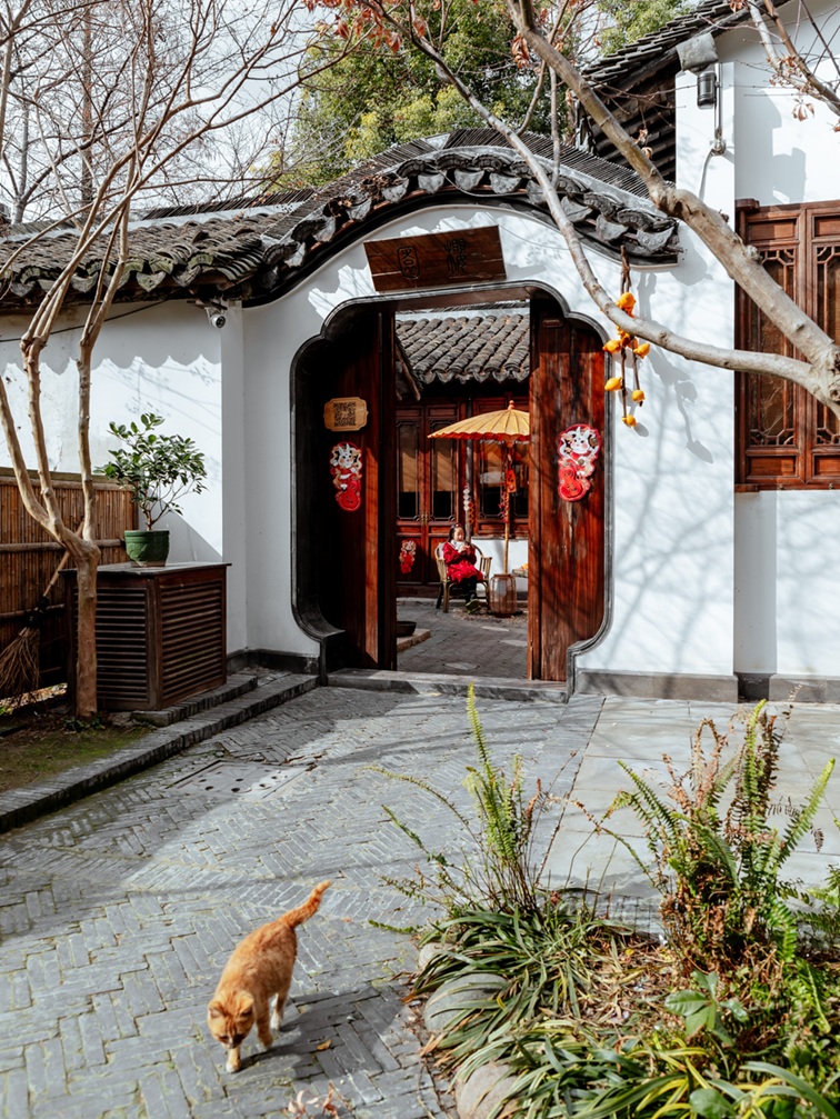 过大年·来青浦丨“蛇”我其谁~青浦近50场新春活动等你“过·来”玩! 过大年·来青浦丨“蛇”我其谁~青浦近50场新春活动等你“过·来”玩!