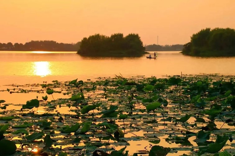 秋水伊人,来青浦,乘坐公共交通邂逅初秋水岸的一缕风凉! 秋水伊人,来青浦,乘坐公共交通邂逅初秋水岸的一缕风凉!