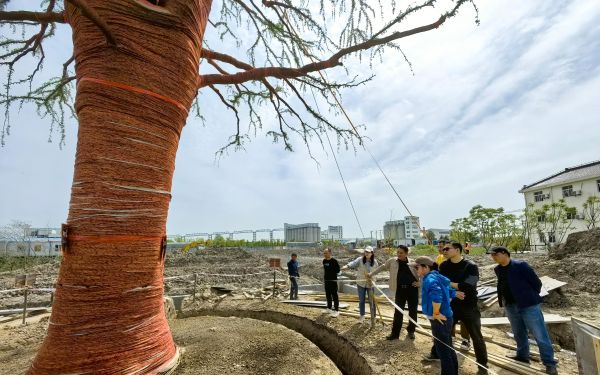上海市林业总站对超大规格单株东方杉移植工作开展跟踪监管与技术指导2.jpg 上海市林业总站对超大规格单株东方杉移植工作开展跟踪监管与技术指导2.jpg