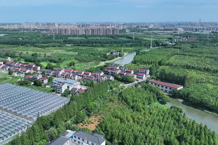 江南春景水一半,12处小流域绘青浦生态美域 江南春景水一半,12处小流域绘青浦生态美域