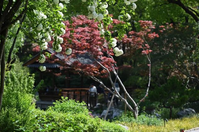 0421_152703_367.jpg 微信图片_2025-04-21_142025_120.jpg