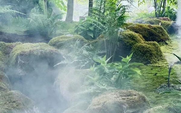 DSC07652.jpg DSC07652.jpg