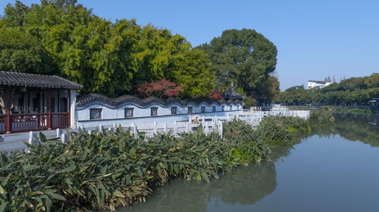 冬日“沪”水游,青浦新城:冬境绮梦,水韵流长 冬日“沪”水游,青浦新城:冬境绮梦,水韵流长