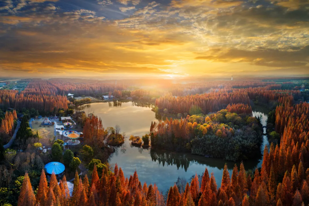 20240711155059054791.jpg 08.jpg