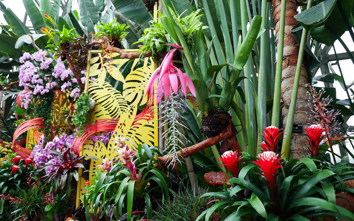 蝶飞凤舞 6.jpg 蝶飞凤舞 6.jpg