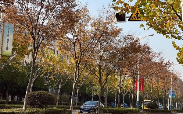 金山区龙航路(海丰路——海盛路) (3).jpg 金山区龙航路(海丰路——海盛路) (3).jpg