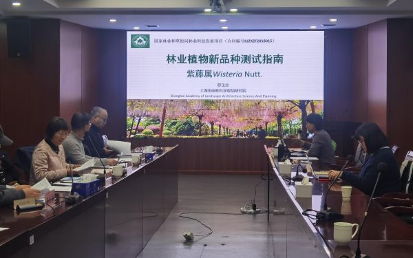 10863b0fb58d4eeaf37768c82f8d962.jpg 10863b0fb58d4eeaf37768c82f8d962.jpg