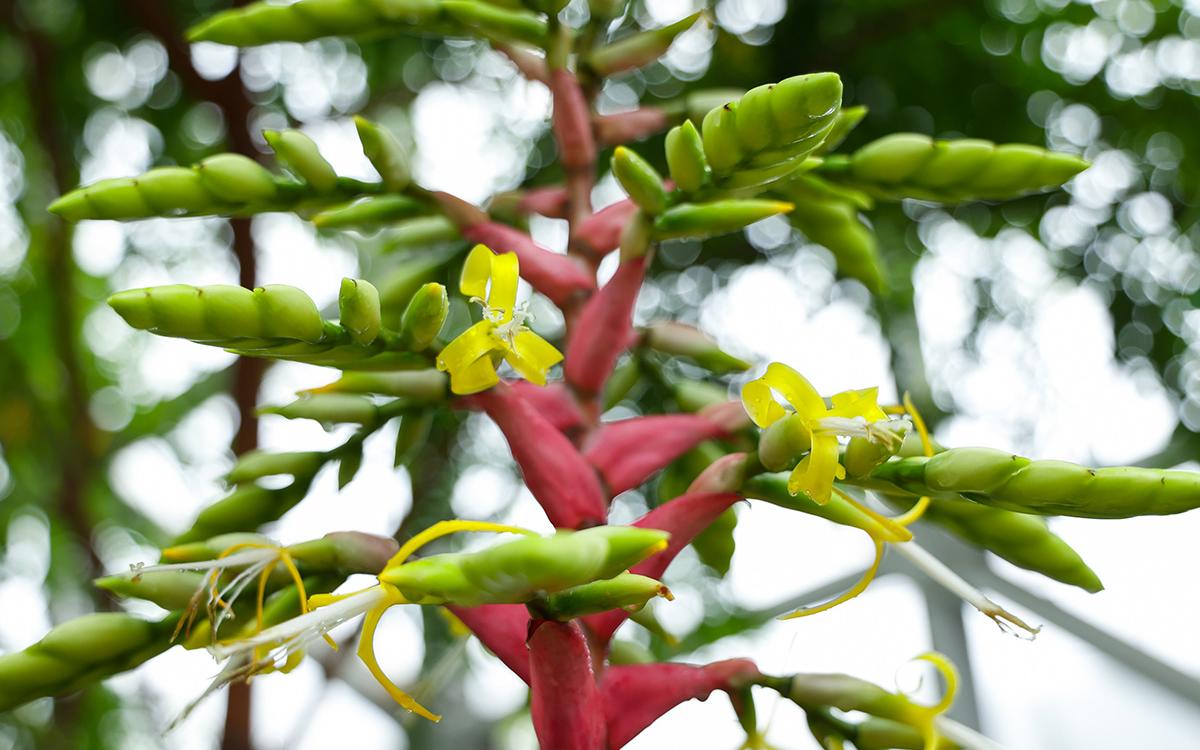 王的盛宴 5.jpg 王的盛宴 5.jpg