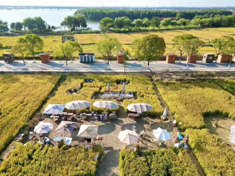 左拥乡野,右枕星河!青浦这几家雅居入选2024市级乡村民宿! 左拥乡野,右枕星河!青浦这几家雅居入选2024市级乡村民宿!