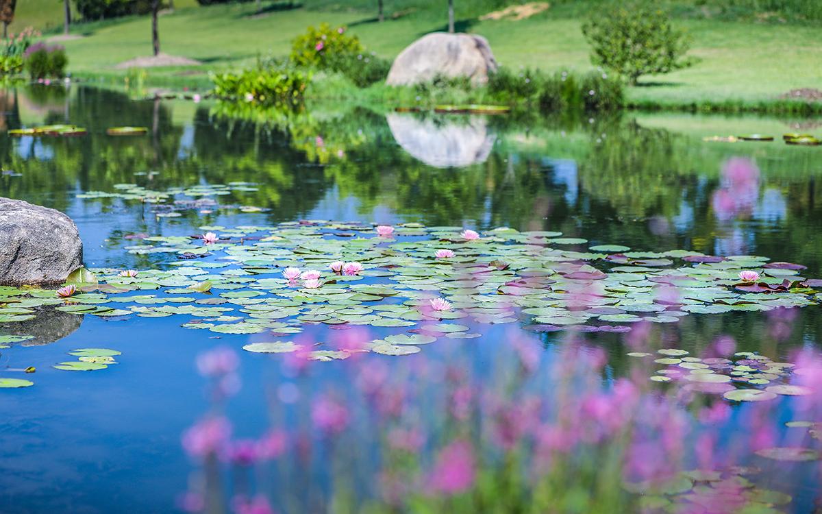 雨溪 景区 (2).jpg 雨溪 景区 (2).jpg