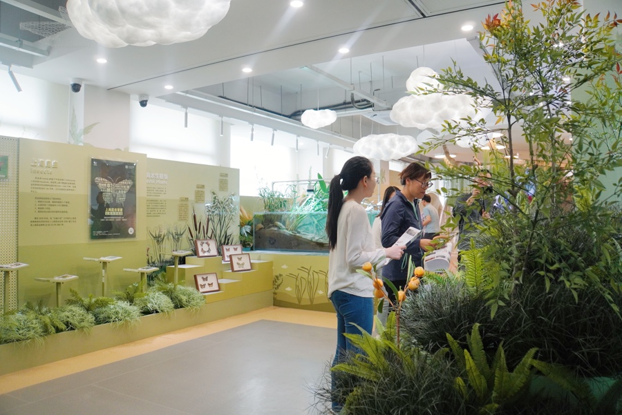 昨天,市民参观生境博物馆。 资料图片.jpeg 昨天,市民参观生境博物馆。 资料图片.jpeg
