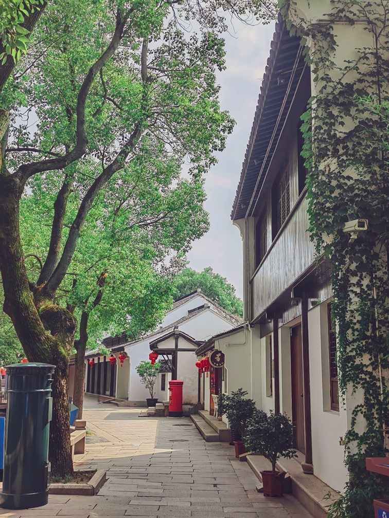 周末不宅家!青浦这趟红色探访之旅,超有“料”! 周末不宅家!青浦这趟红色探访之旅,超有“料”!