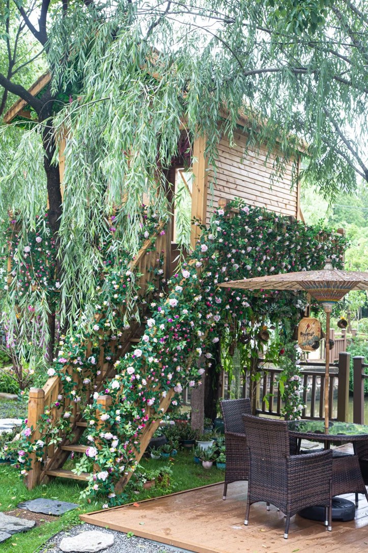 会·聚青浦|这些沪郊雅宿一到秋天就美翻,田园小院赏秋不扎堆 会·聚青浦|这些沪郊雅宿一到秋天就美翻,田园小院赏秋不扎堆