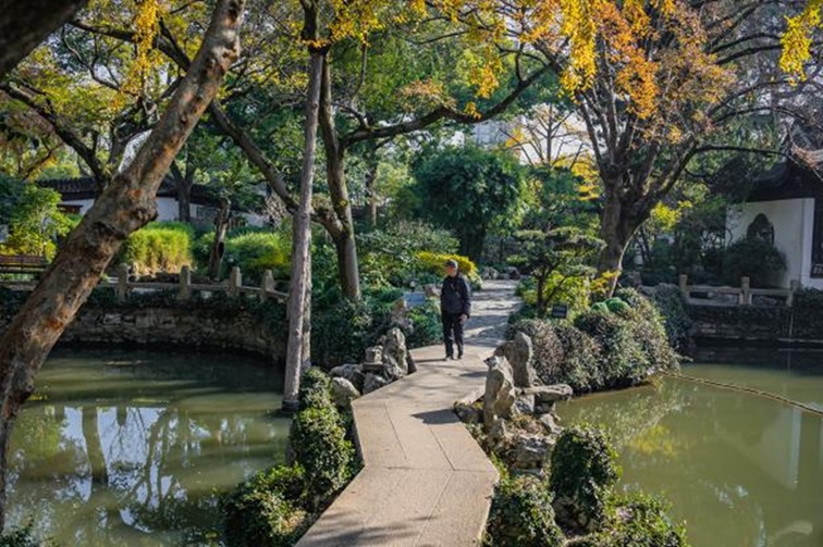 冬日“沪”水游,青浦新城:冬境绮梦,水韵流长 冬日“沪”水游,青浦新城:冬境绮梦,水韵流长