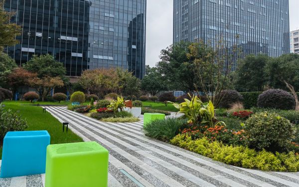 IMG_20241114_142615.jpg IMG_20241114_142615.jpg